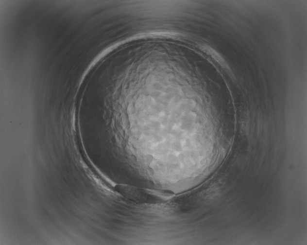 X0000084021420200702232220