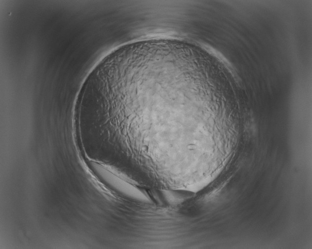X0000084021423200702232220