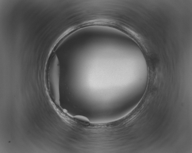 X0000084021426200702232220