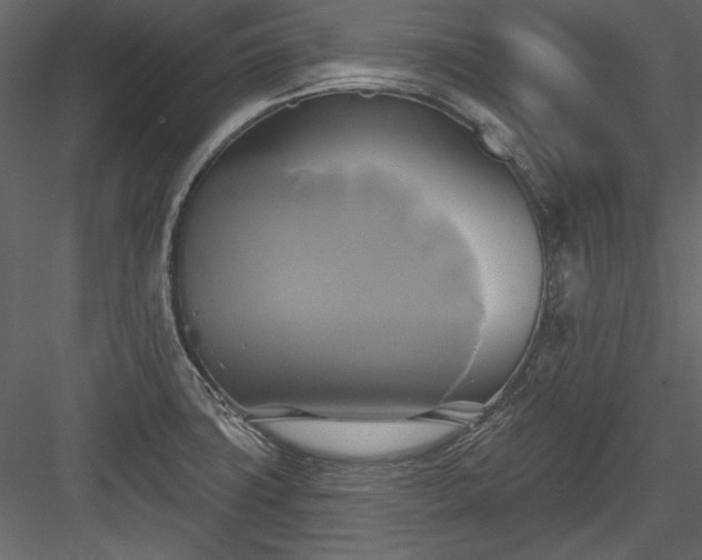 X0000084021427200702232220