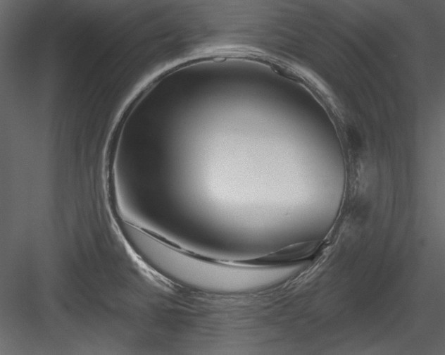 X0000084021430200702232220