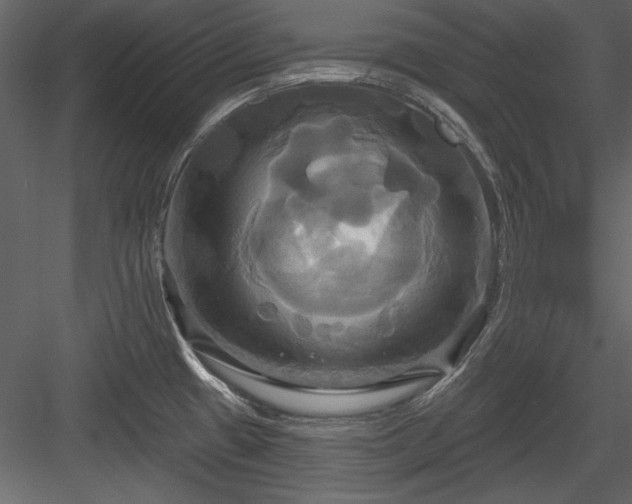 X0000084021433200702232220