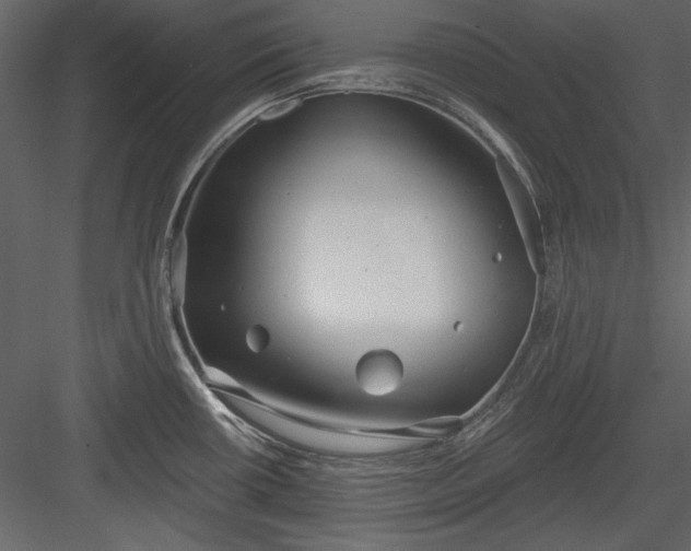 X0000084021434200702232220