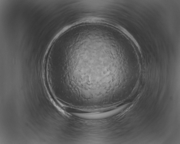 X0000084021437200702232220