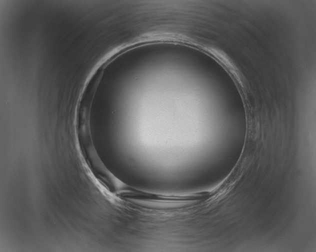 X0000084021438200702232220