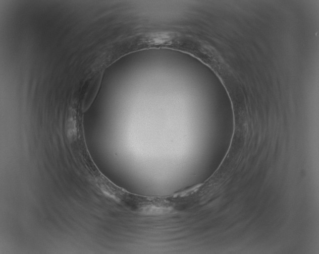 X0000084021442200702232219