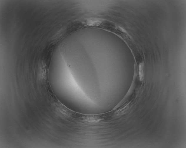 X0000084021443200702232219