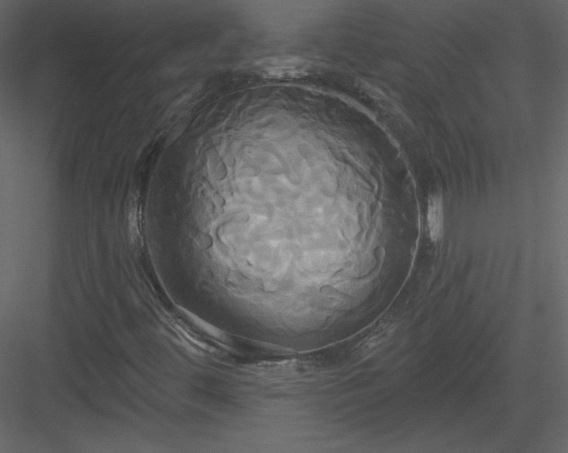 X0000084021444200702232219