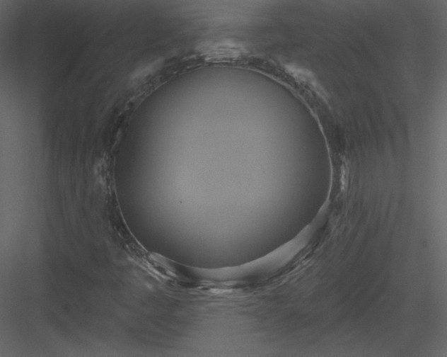 X0000084021445200702232219