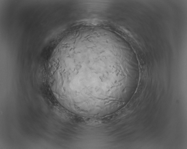 X0000084021446200702232219