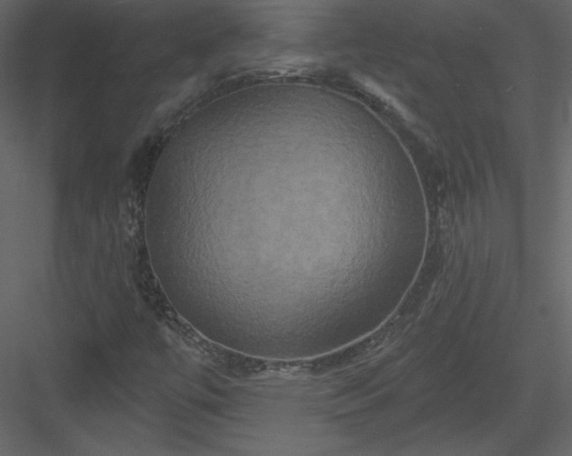 X0000084021447200702232219