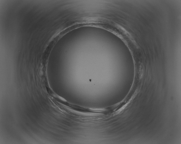 X0000084021449200702232219