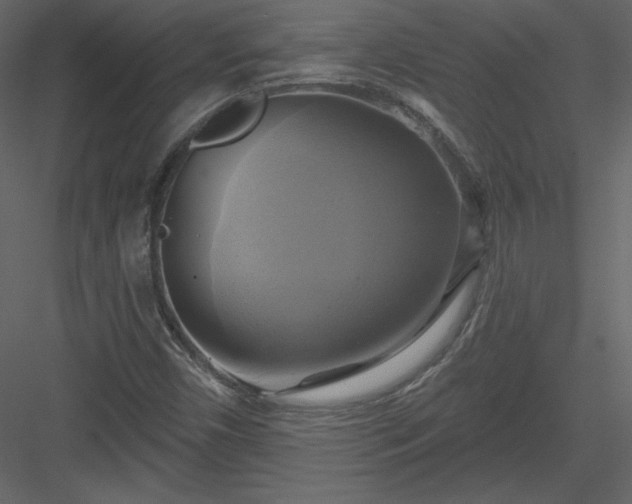 X0000084021450200702232219