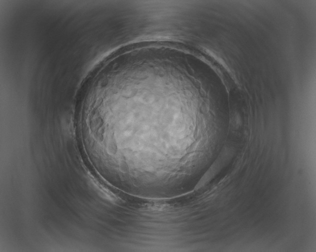 X0000084021452200702232219