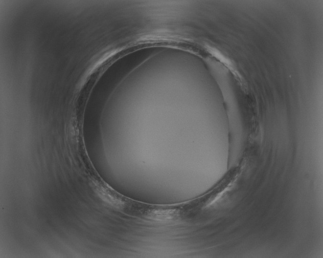 X0000084021453200702232219