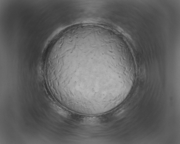 X0000084021454200702232219