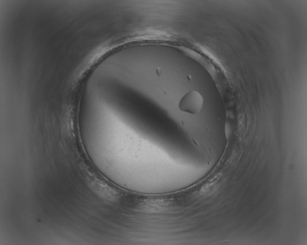 X0000084021455200702232219