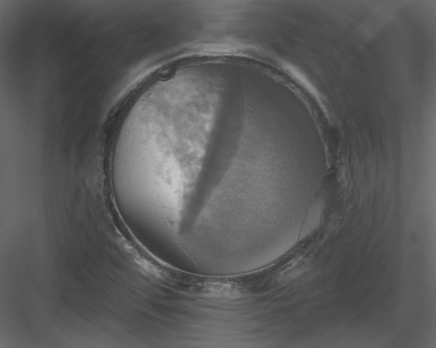 X0000084021456200702232219