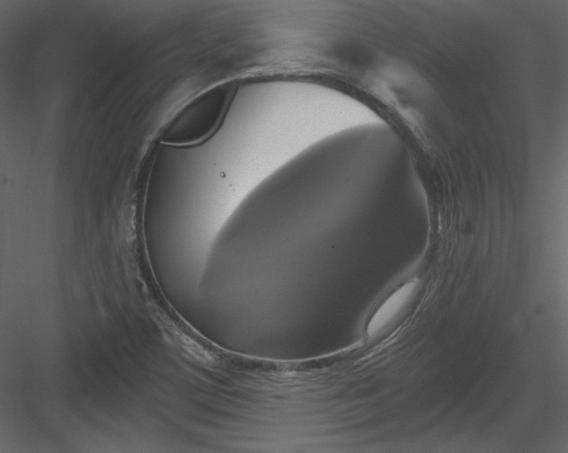 X0000084021459200702232219
