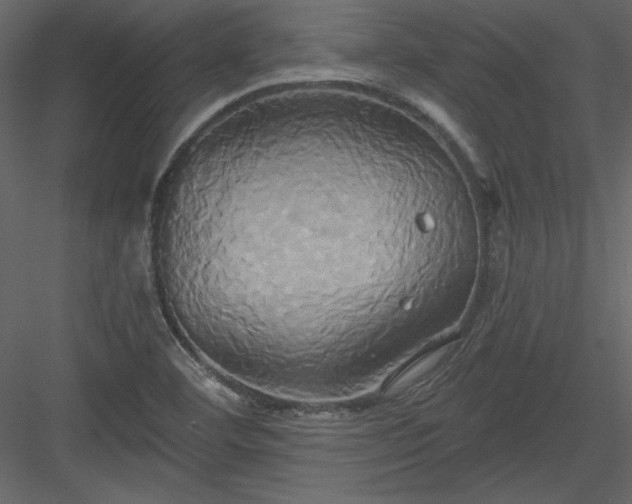 X0000084021460200702232219
