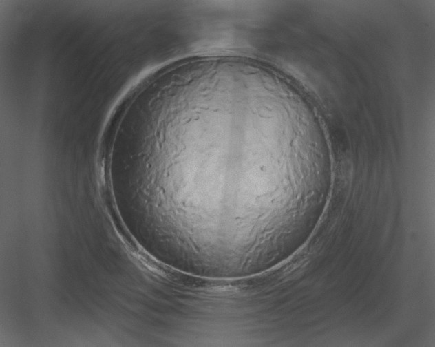 X0000084021462200702232219