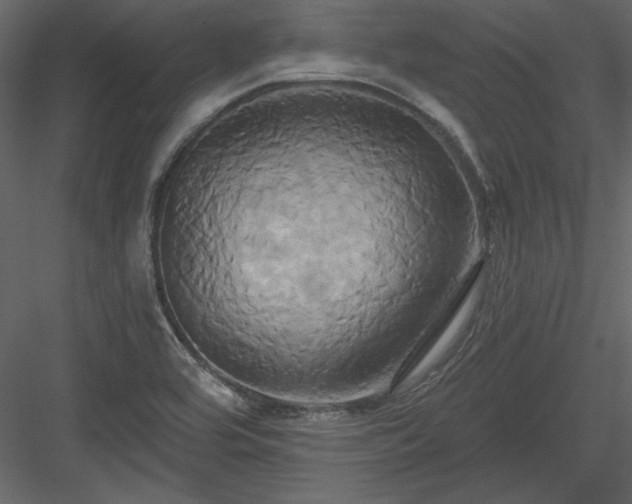 X0000084021464200702232219