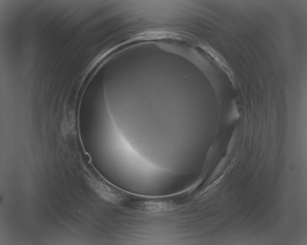 X0000084021465200702232219