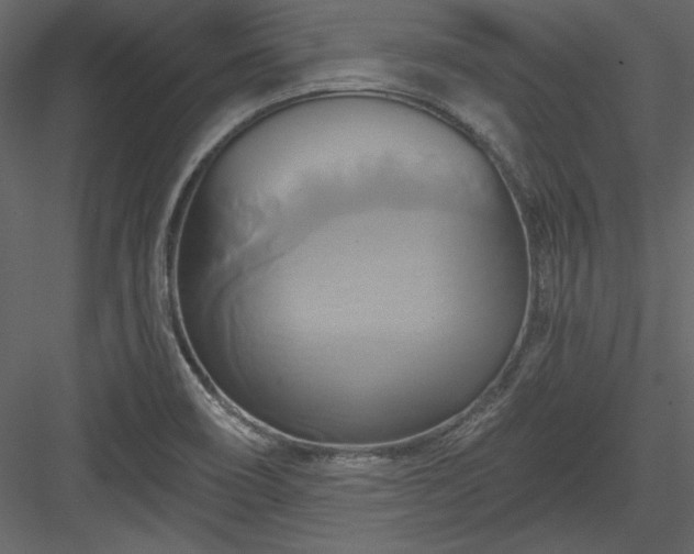 X0000084021466200702232219