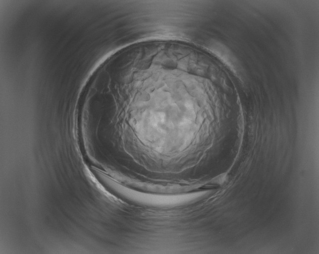 X0000084021468200702232219