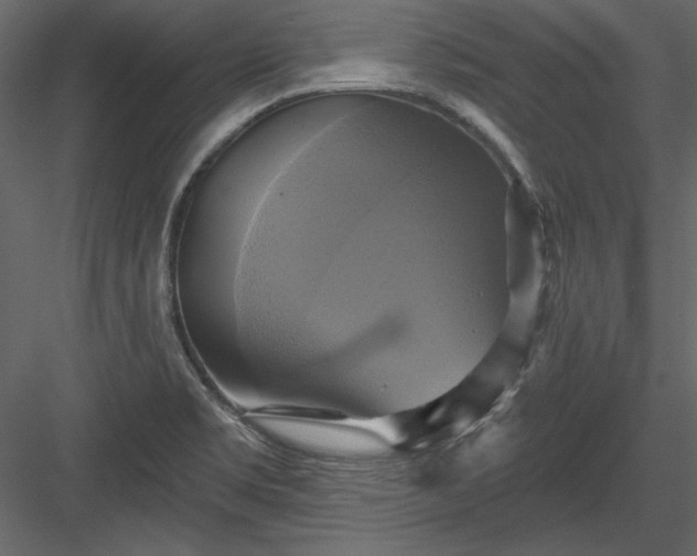 X0000084021469200702232219