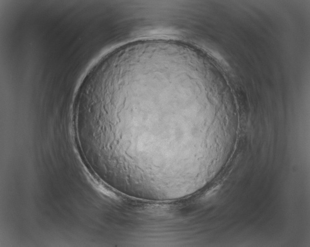 X0000084021470200702232219