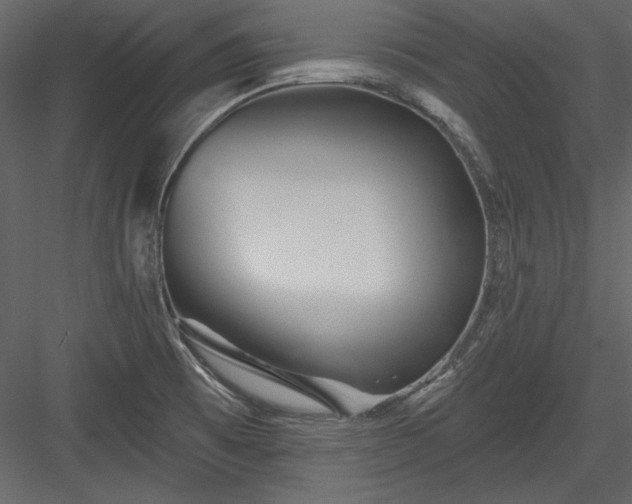 X0000084021473200702232218
