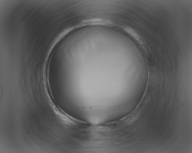 X0000084021474200702232218