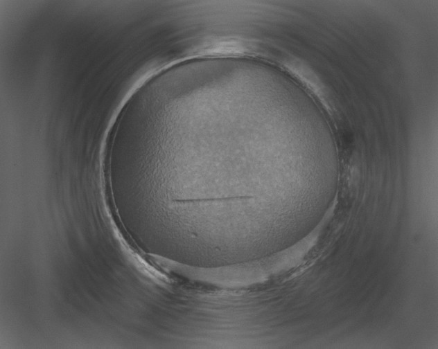 X0000084021475200702232218
