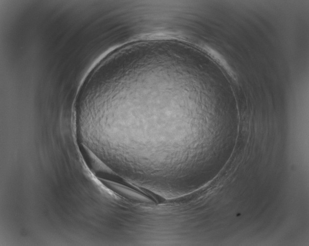 X0000084021476200702232218