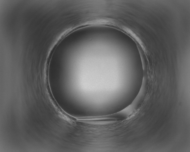 X0000084021477200702232218