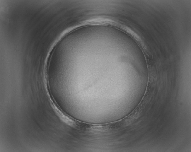 X0000084021478200702232218