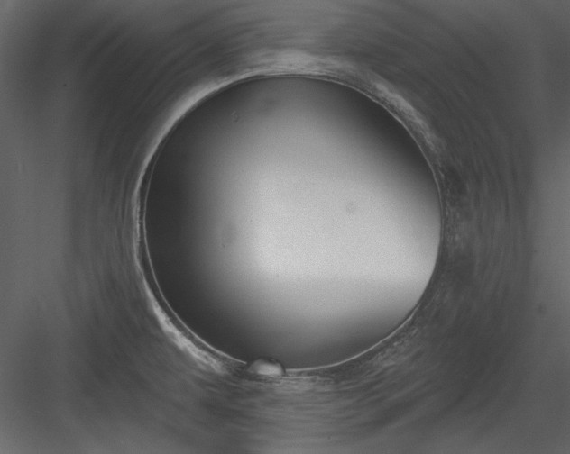 X0000084021479200702232218
