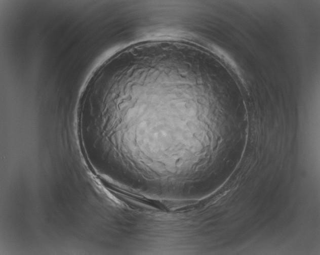 X0000084021480200702232218