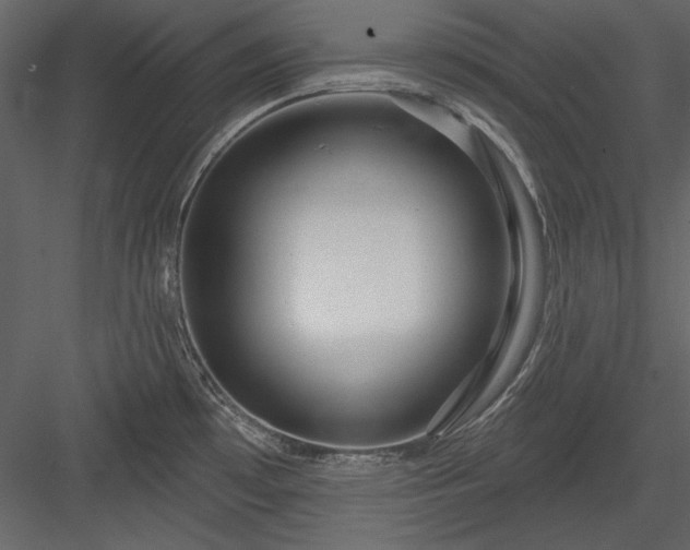 X0000084021481200702232218