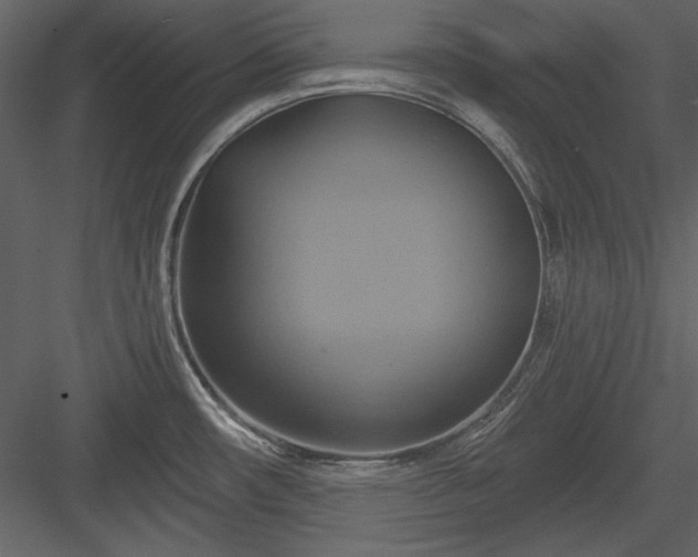 X0000084021482200702232218
