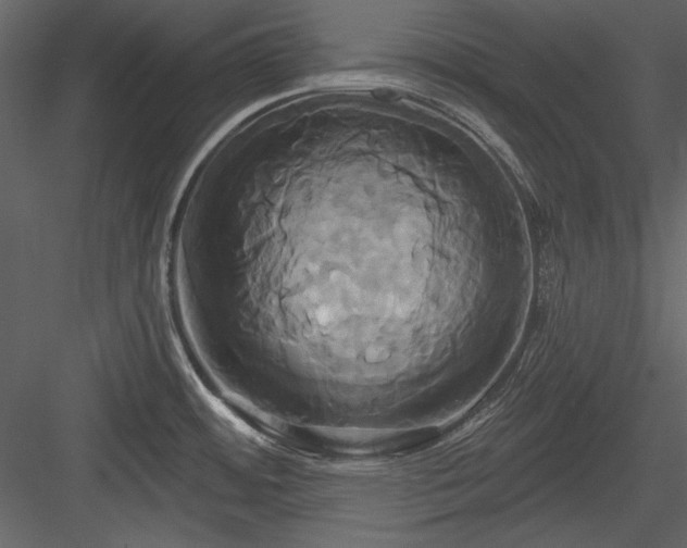 X0000084021484200702232218