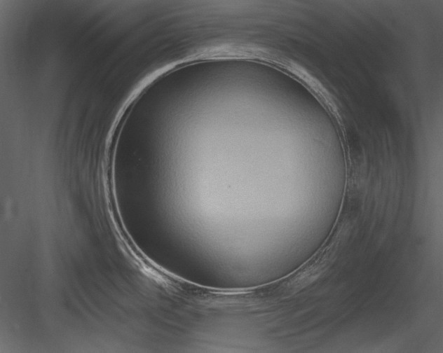 X0000084021486200702232218