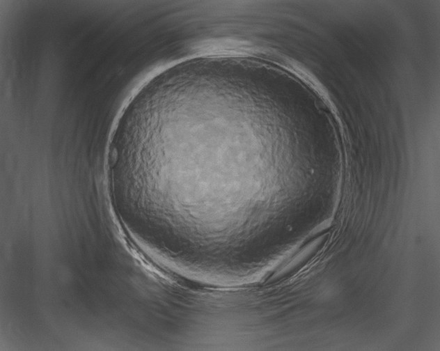 X0000084021488200702232218