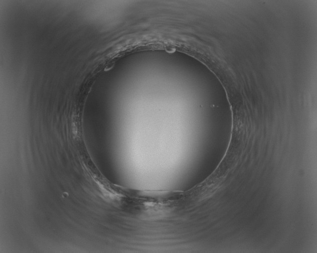 X0000084021490200702232217