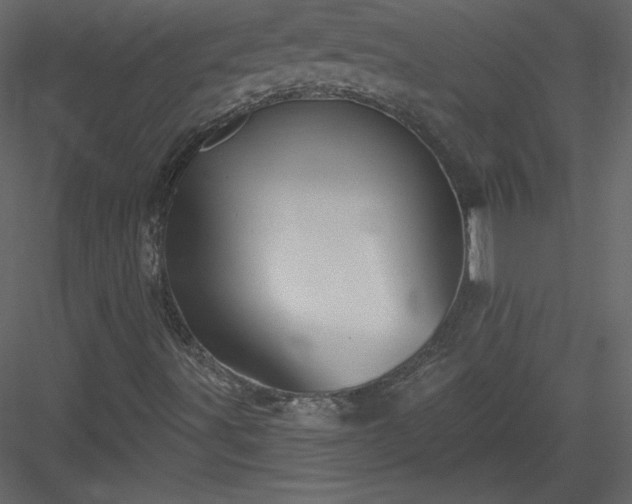 X0000084021491200702232217