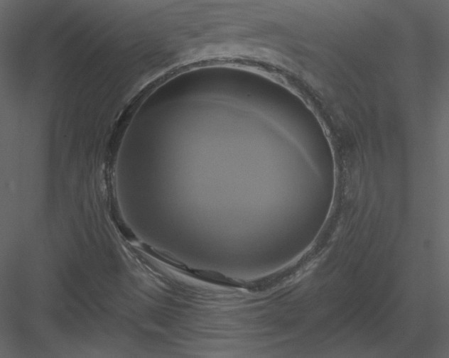X0000084021497200702232218