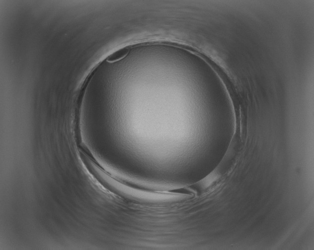X0000084021500200702232218