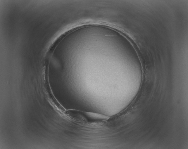 X0000084021503200702232218
