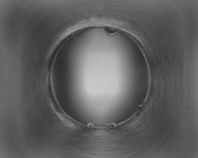 X0000084021507200702232218
